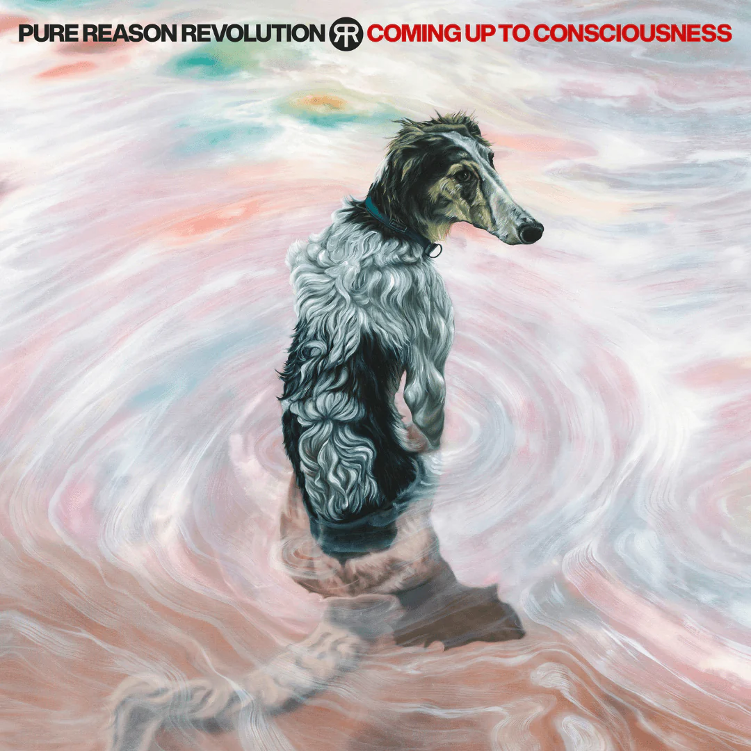 Coming Up To Consciousness LP color