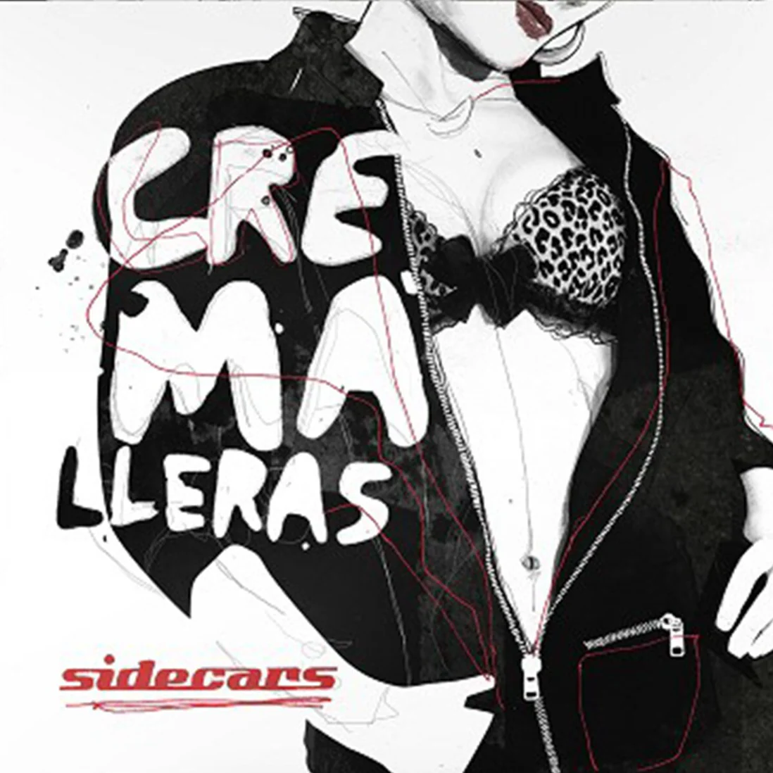 Cremalleras Vinilo