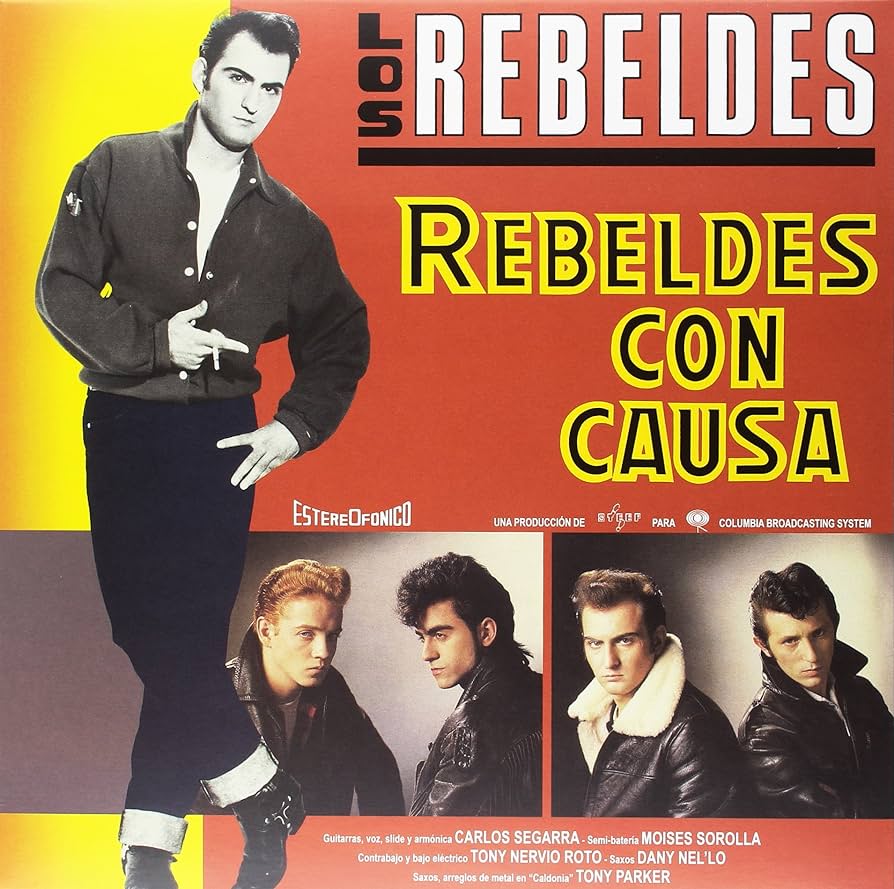Rebeldes con Causa Vinilo