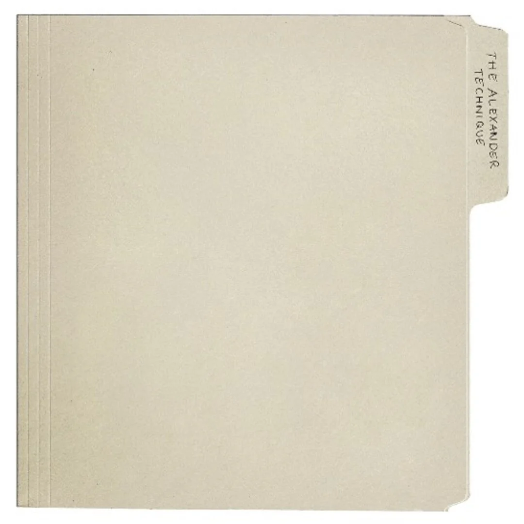 The Alexander Technique 2LP