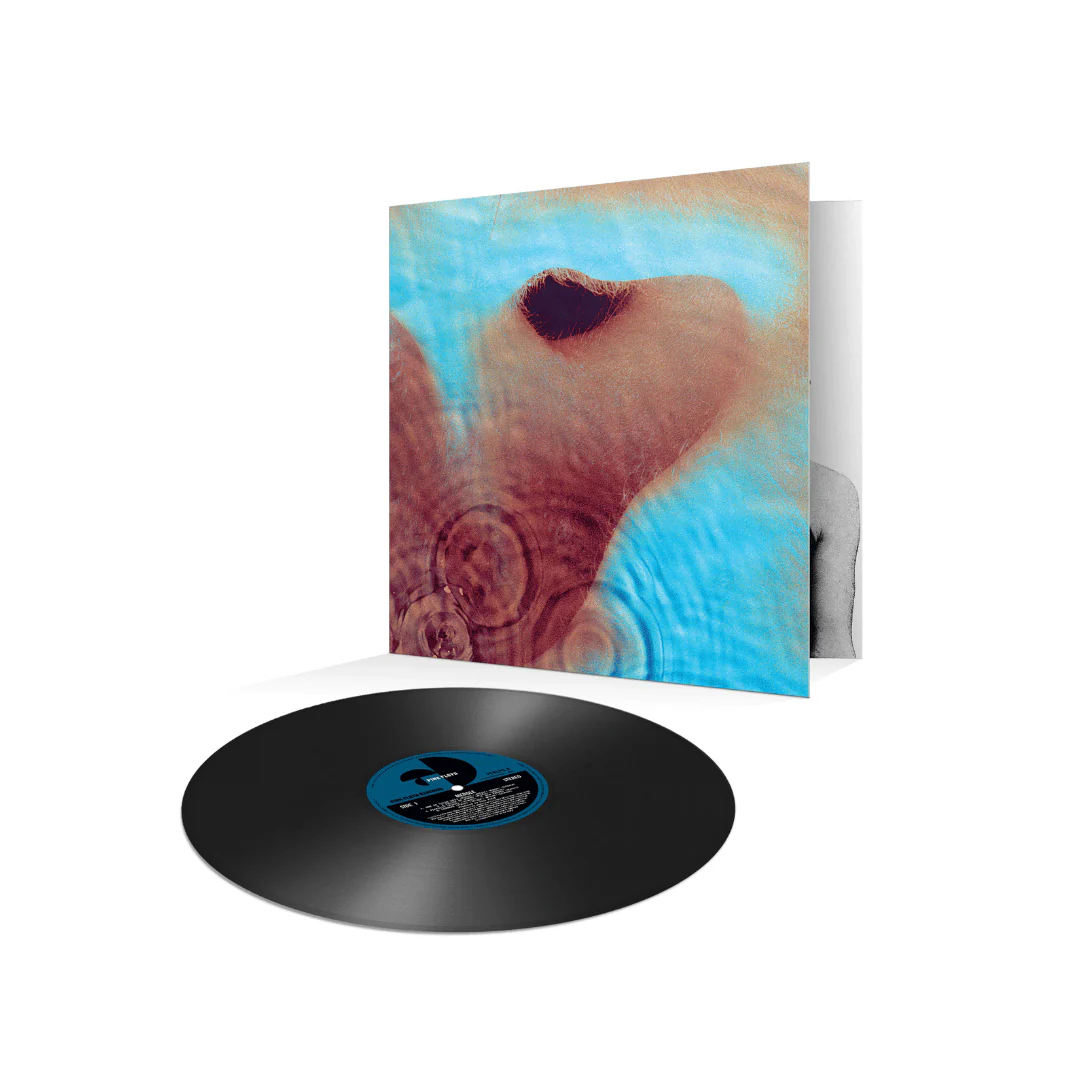 Meddle Pink Floyd LP Negro