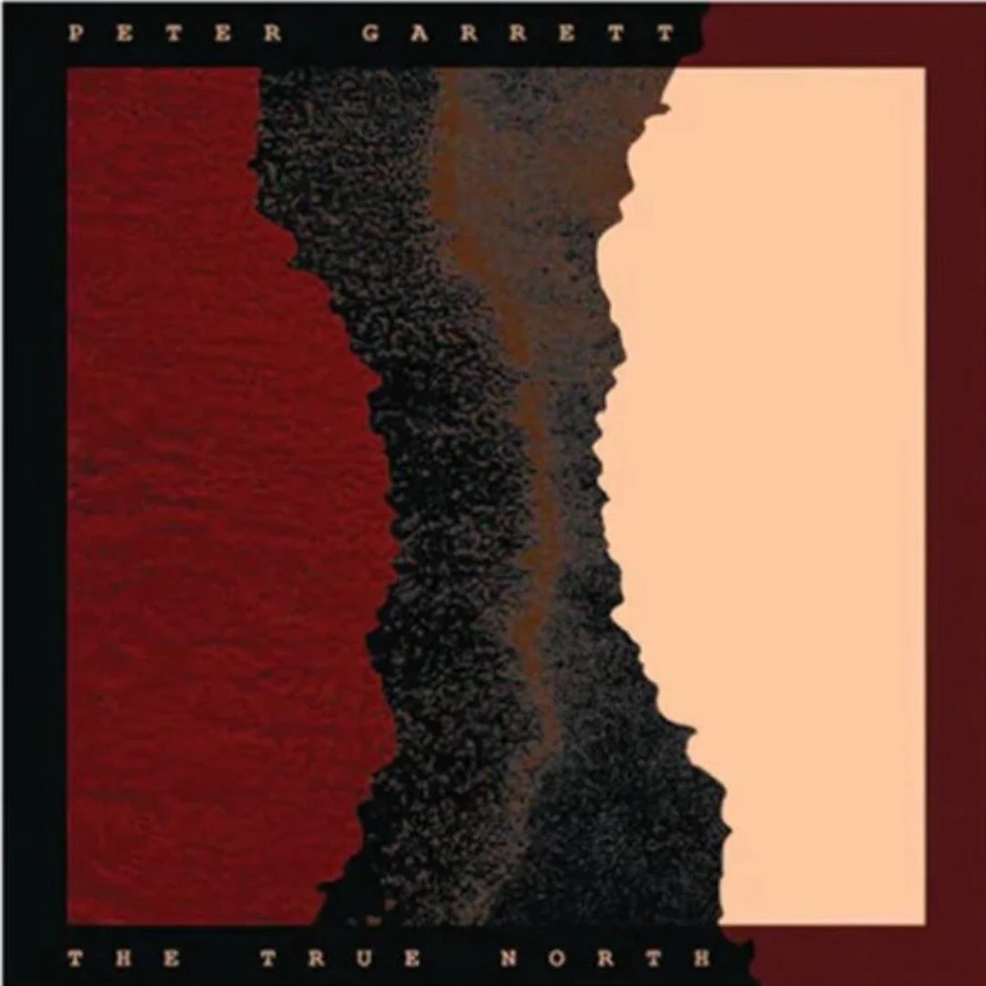 The true north Vinilo - Image 2